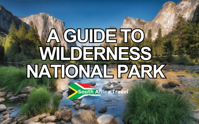 A Guide to Wilderness National Park
