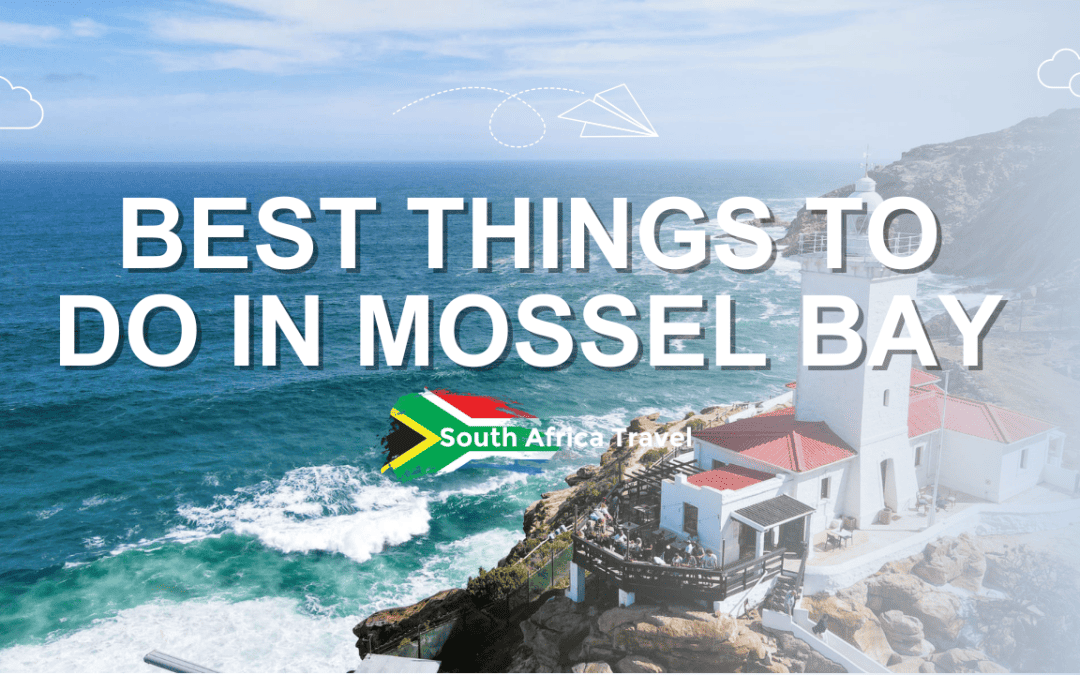 Best Things to Do in Mossel Bay