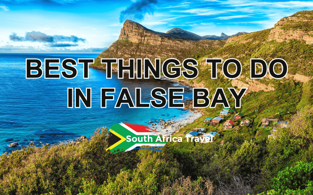 Best Things to do in False Bay