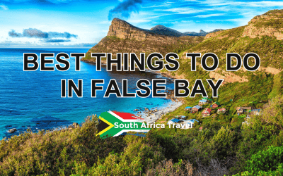 Best Things to do in False Bay