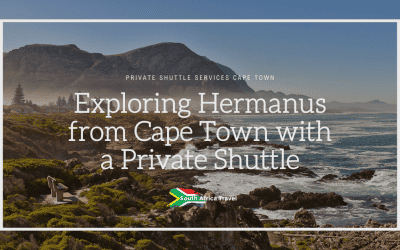 Exploring Hermanus from Cape Town with a Private Shuttle