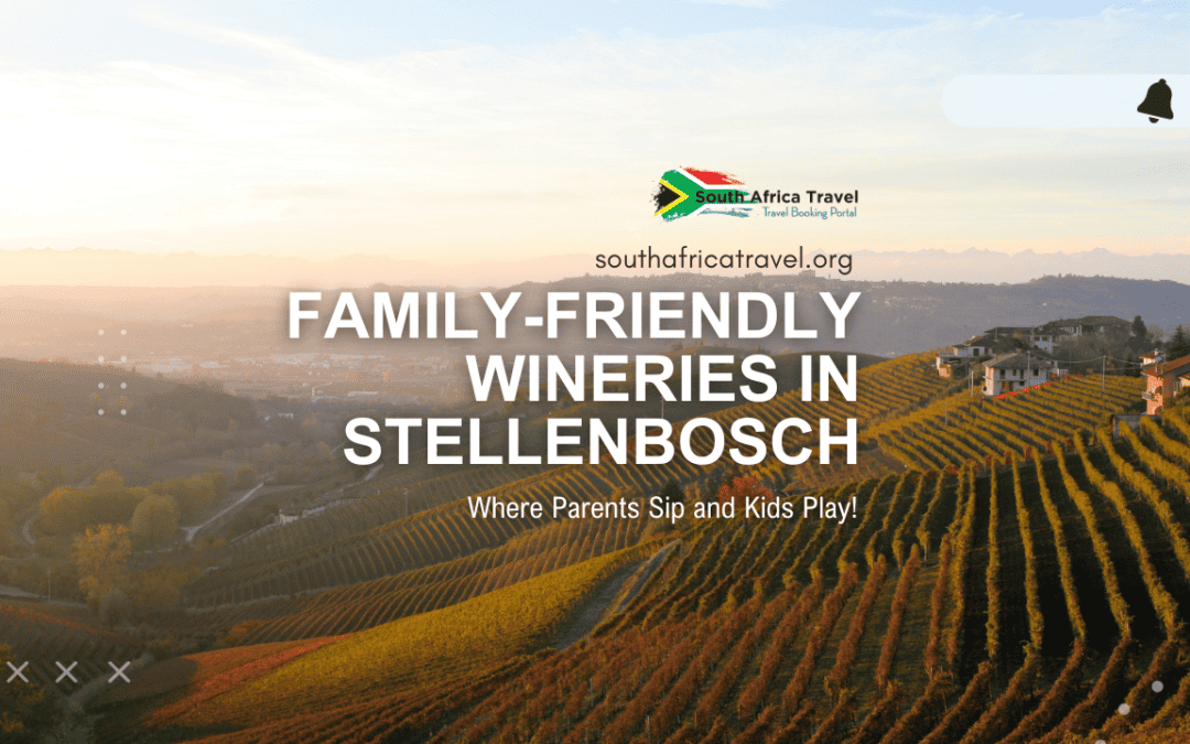 Family-Friendly Wineries in Stellenbosch: Where Parents Sip and Kids Play!
