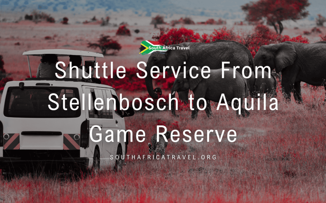 Shuttle Service From Stellenbosch to Aquila Game Reserve