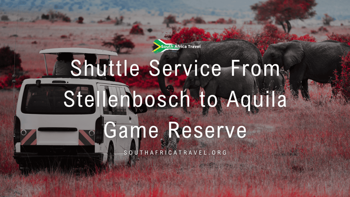 Shuttle Service From Stellenbosch to Aquila Game Reserve