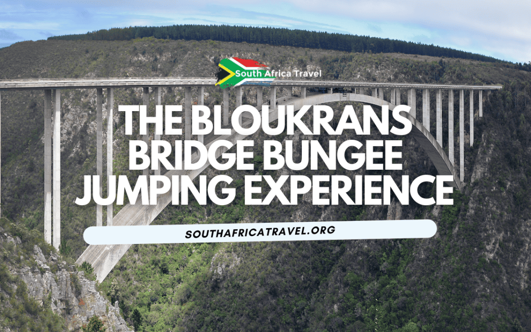 The Bloukrans Bridge Bungee Jumping Experience
