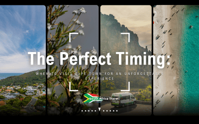 The Perfect Timing: When to Visit Cape Town for an Unforgettable Experience