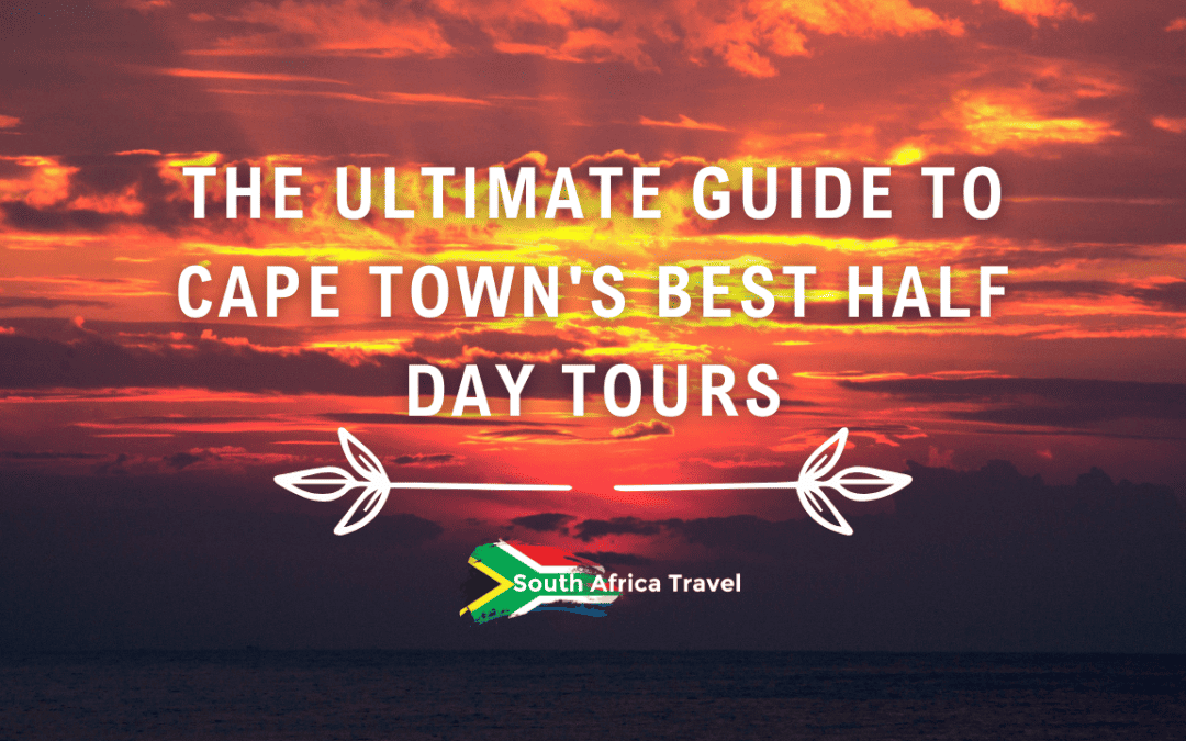 The Ultimate Guide to Cape Town’s Best Half Day Tours