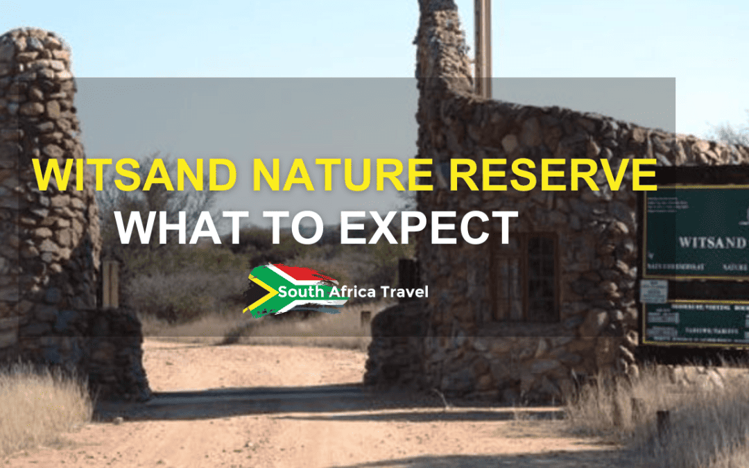 Witsand Nature Reserve: What to Expect