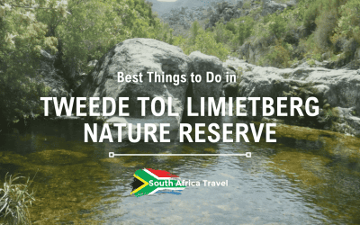 Best Things to Do in Tweede Tol Limietberg Nature Reserve