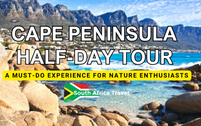 Cape Peninsula Half-Day Tour: A Must-Do Experience for Nature Enthusiasts