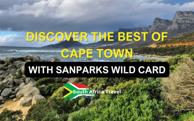Discover the Best of Cape Town with Sanparks Wild Card
