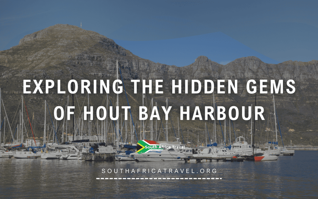 Exploring the Hidden Gems of Hout Bay Harbour