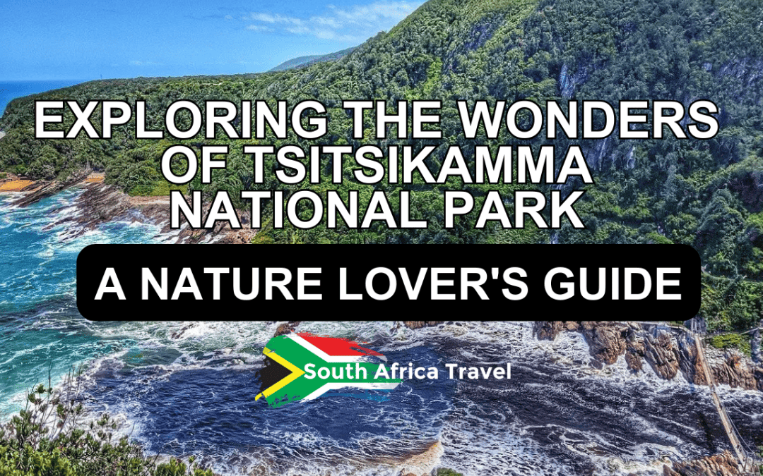 Exploring the Wonders of Tsitsikamma National Park: A Nature Lover’s Guide