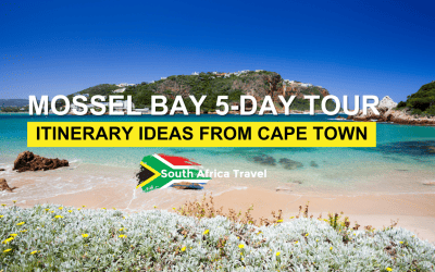 Mossel Bay 5-Day Tour Itinerary Ideas From Cape Town