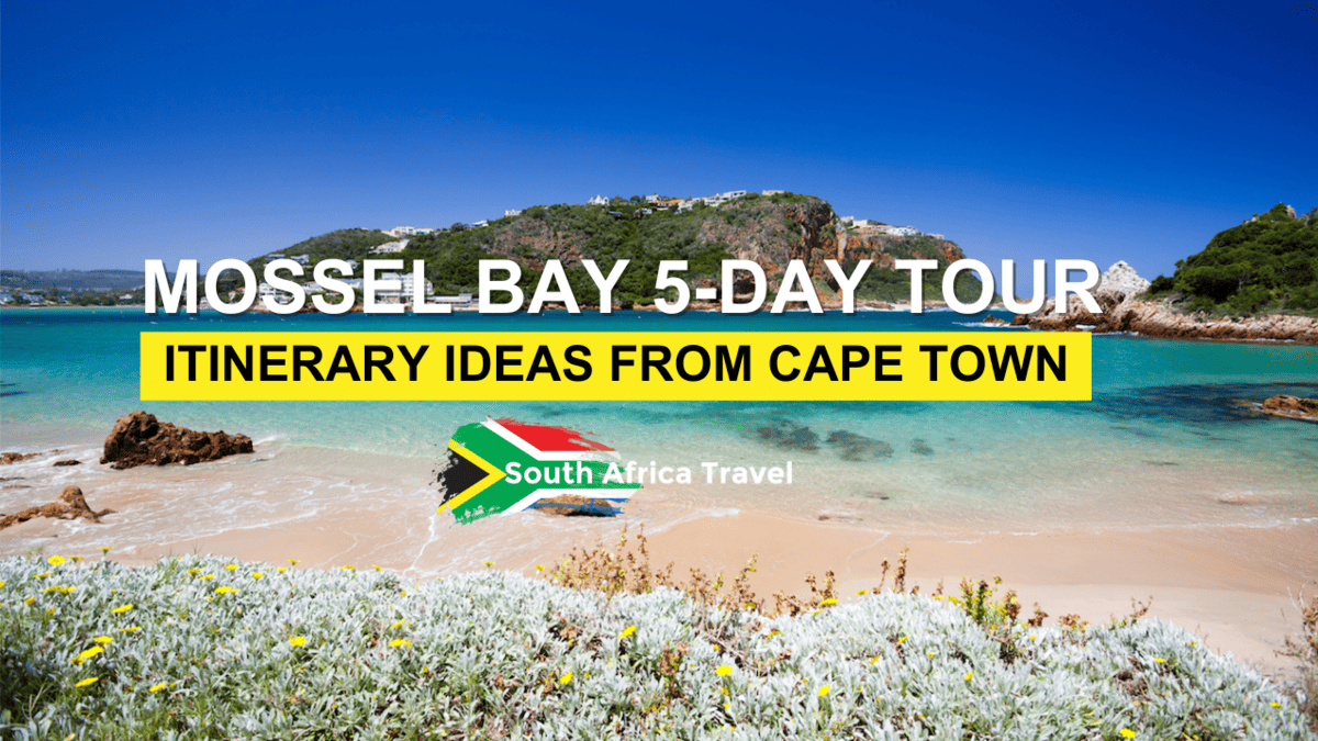 Mossel Bay 5-Day Tour Itinerary Ideas From Cape Town