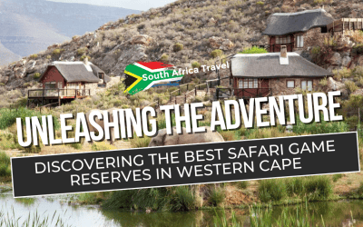 Unleashing the Adventure: Discovering the Best Safari Game Reserves in Western Cape