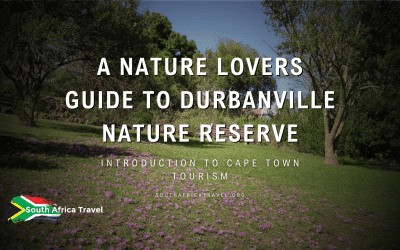 A Nature Lovers Guide to Durbanville Nature Reserve