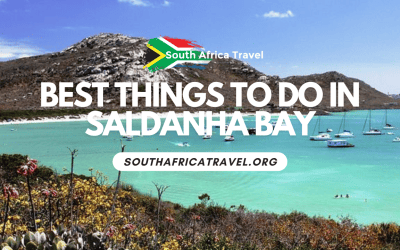Best Things to Do in Saldanha Bay