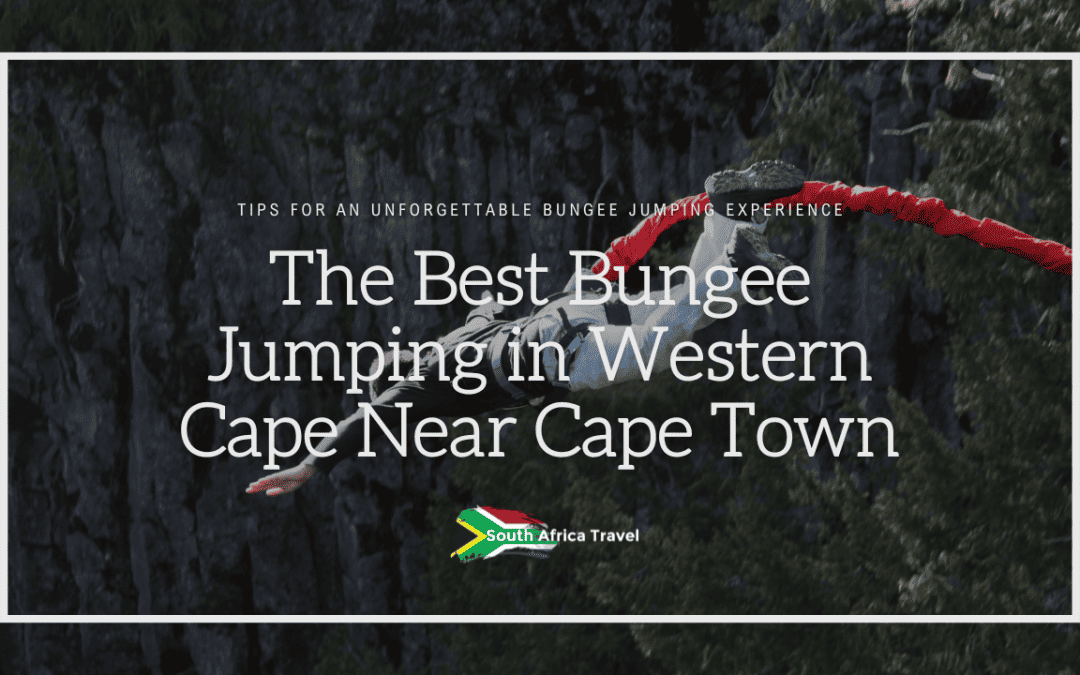 The Best Bungee Jumping in Western Cape Near Cape Town