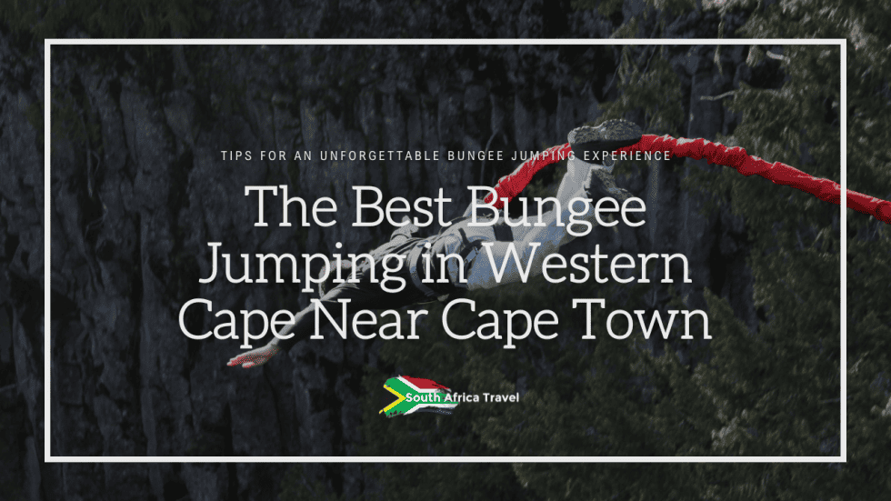 The Best Bungee Jumping in Western Cape Near Cape Town