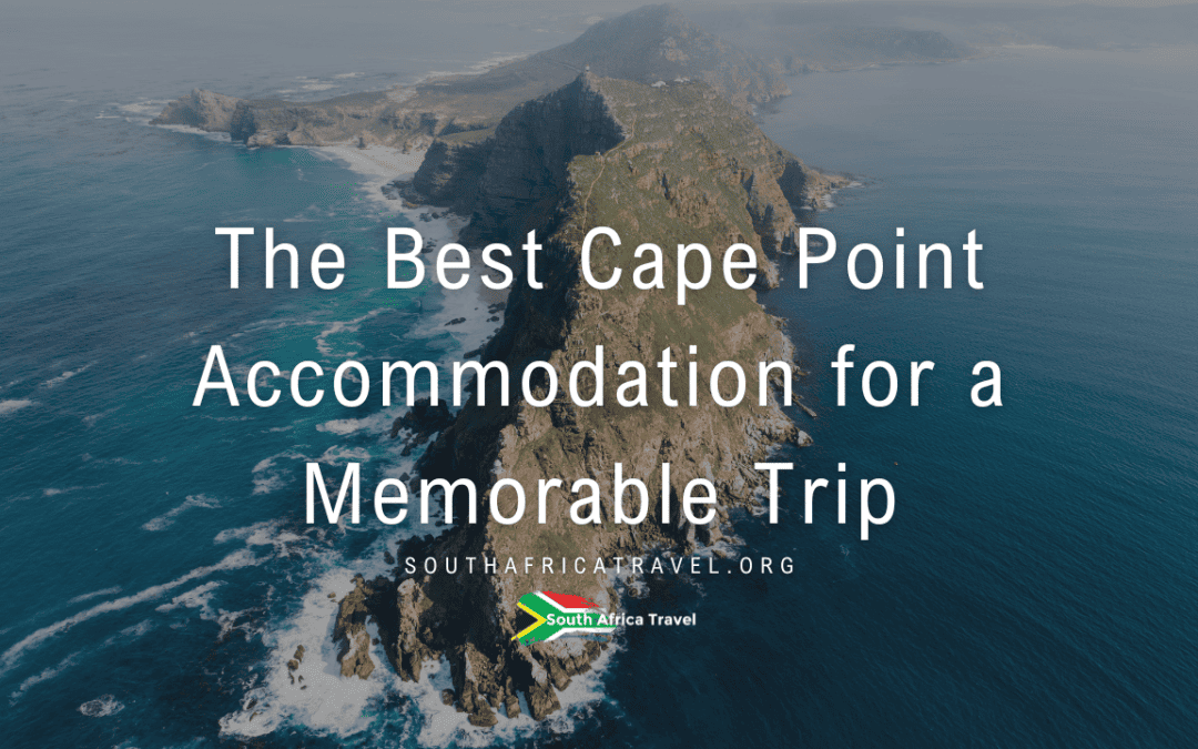 The Best Cape Point Accommodation for a Memorable Trip