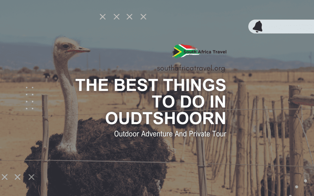 The Best Things to Do in Oudtshoorn