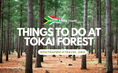 Things to Do at Tokai Forest