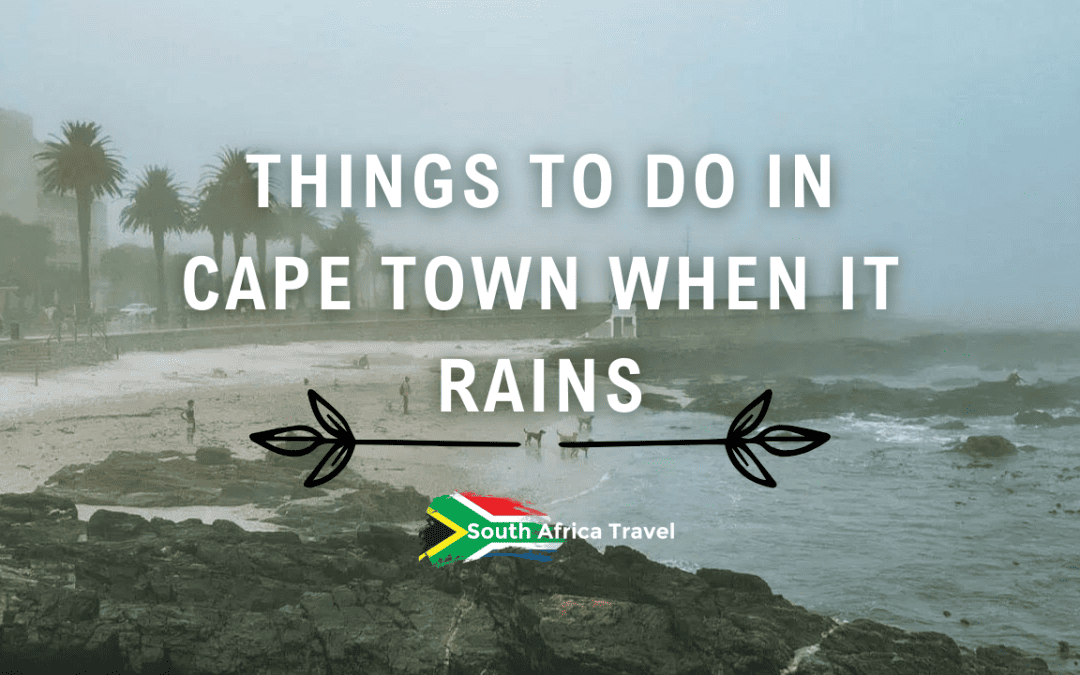 Things to Do in Cape Town When It Rains