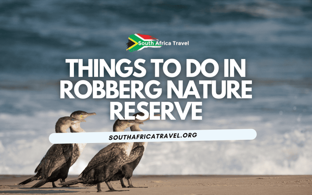 Things to Do in Robberg Nature Reserve