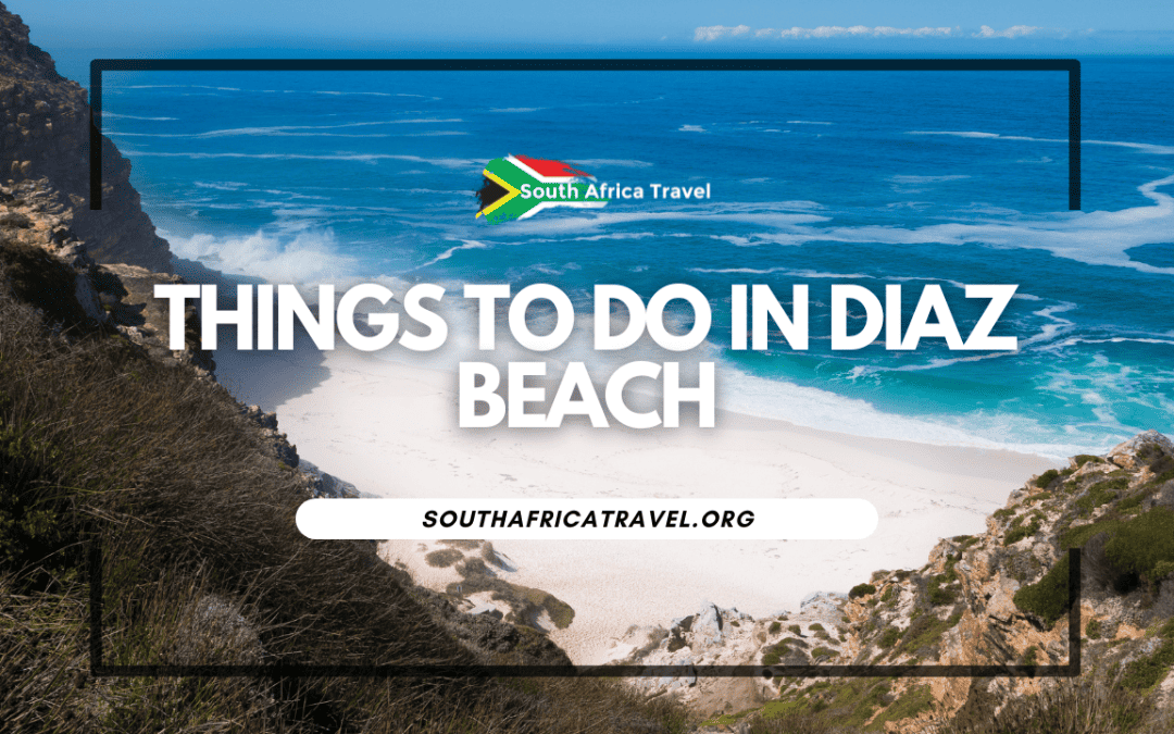 Things To Do In Diaz Beach South Africa Travel Tours And Private Things To Do In Diaz Beach South Africa Travel Tours And Private
