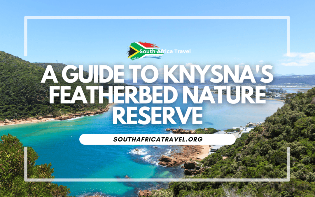 A Guide to Knysna's Featherbed Nature Reserve