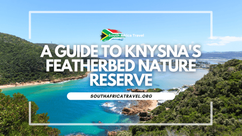 A Guide to Knysna's Featherbed Nature Reserve Private Tours