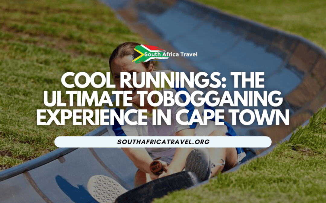 Cool Runnings The Ultimate Tobogganing Experience in Cape Town