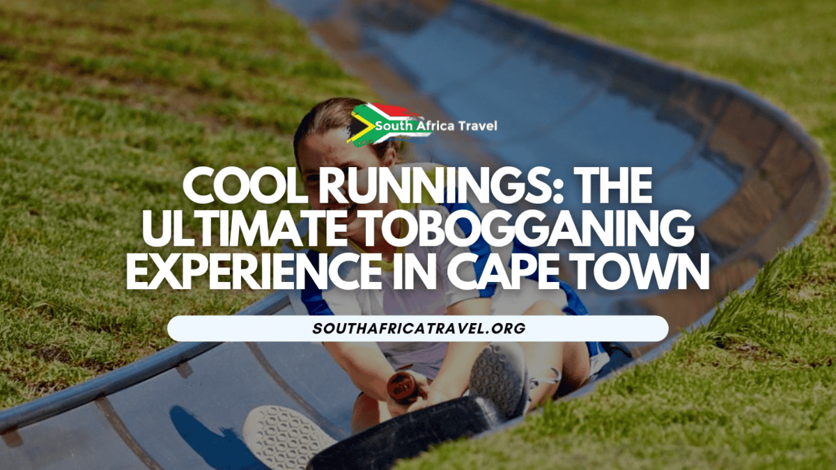 Cool Runnings Ultimate Tobogganing Experience in Cape Town