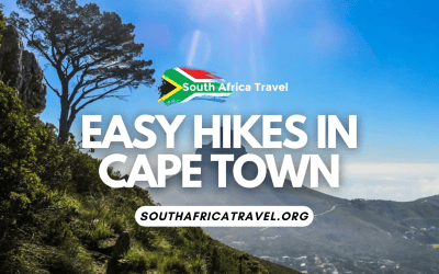 Easy Hikes in Cape Town