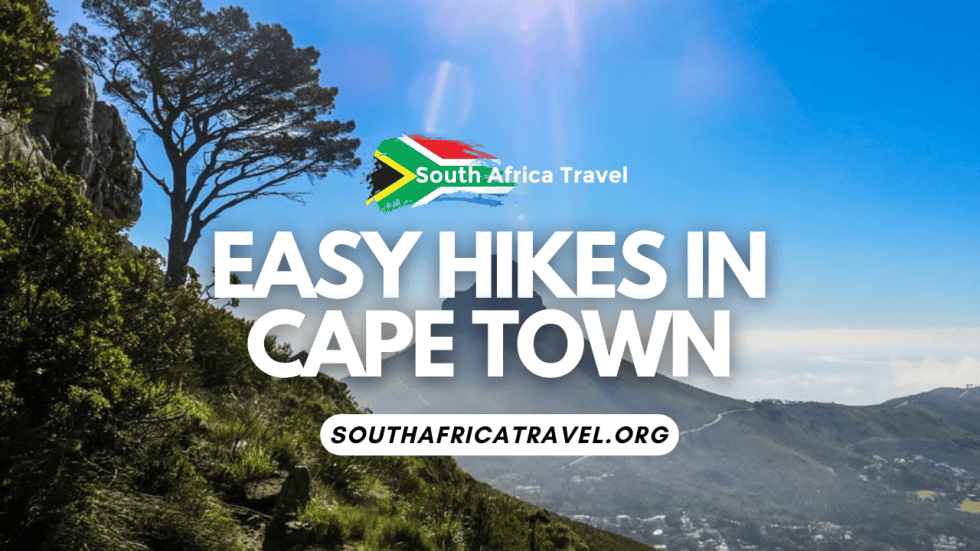 Easy Hikes in Cape Town