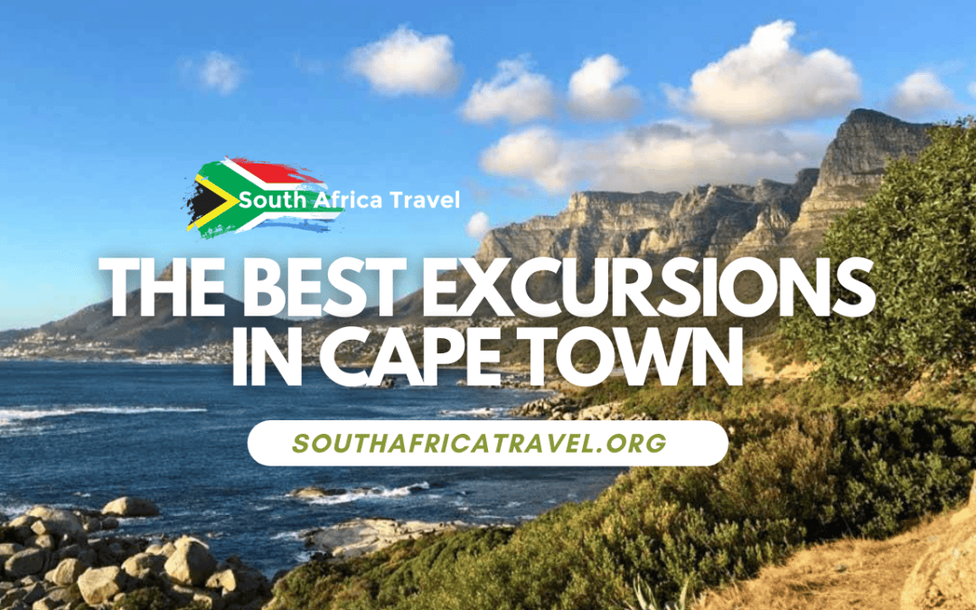 The Best Excursions in Cape Town