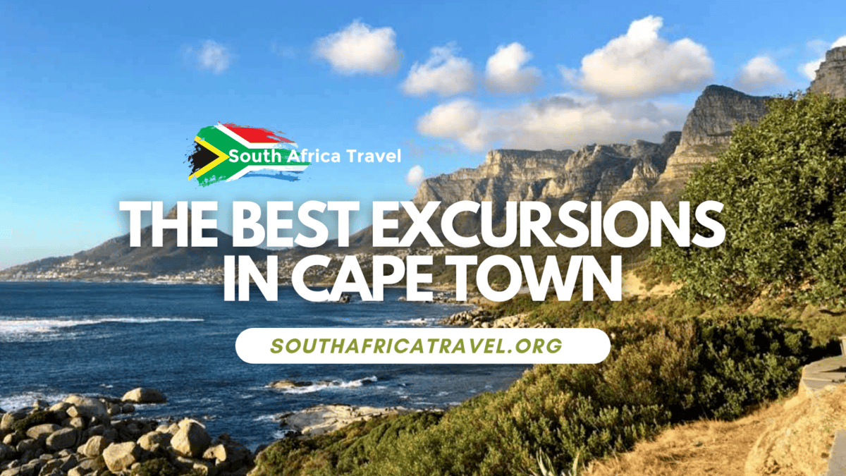 The Best Excursions in Cape Town