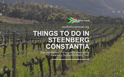 Things to Do in Steenberg Constantia