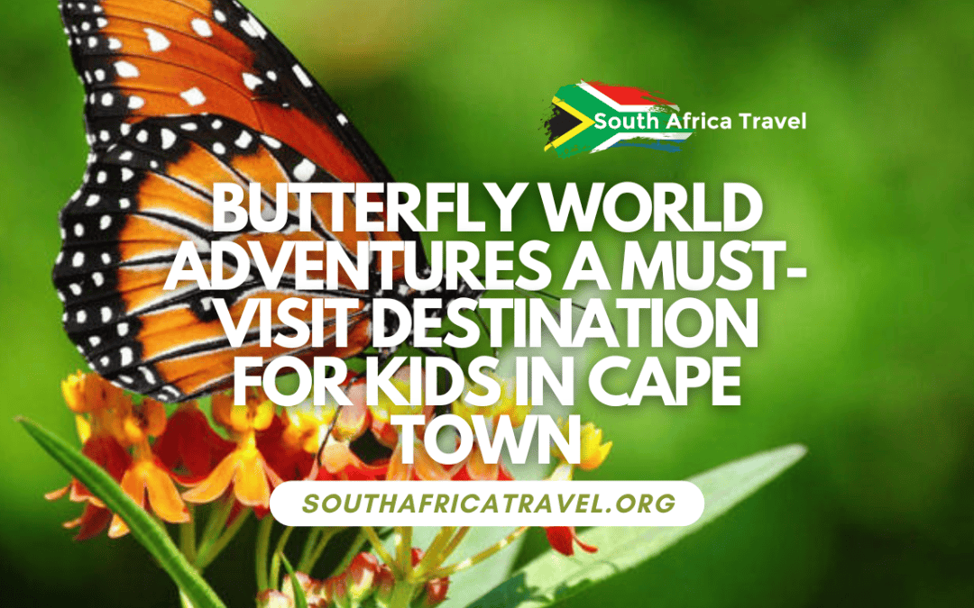 Butterfly World Adventures A Must-Visit Destination for Kids in Cape Town