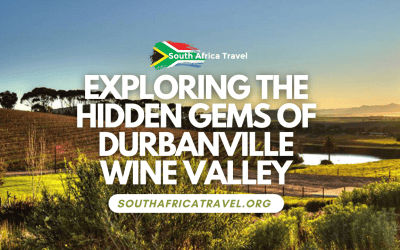Exploring the Hidden Gems of Durbanville Wine Valley