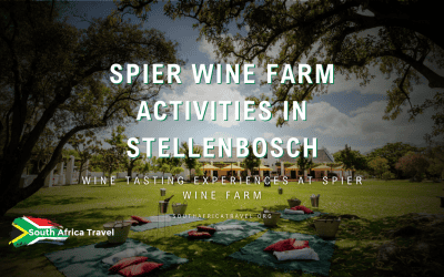 Spier Wine Farm Activities in Stellenbosch