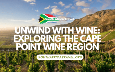 Unwind with Wine: Exploring the Cape Point Wine Region