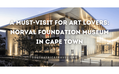 A Must-Visit for Art Lovers: Norval Foundation Museum in Cape Town