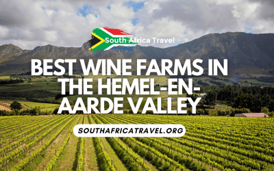 Best Wine Farms in The Hemel-en-Aarde Valley