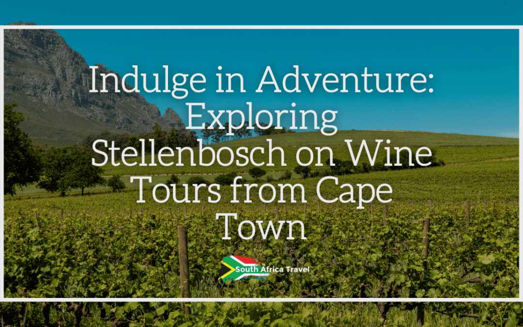 Indulge in Adventure: Exploring Stellenbosch on Wine Tours from Cape Town