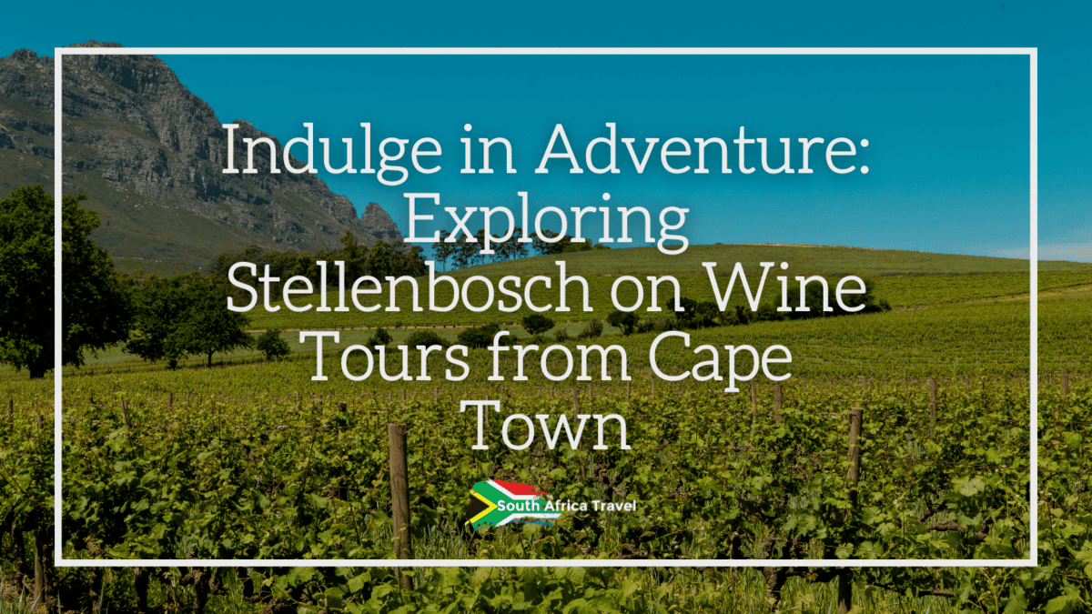 Exploring Stellenbosch on Wine Tours from Cape Town