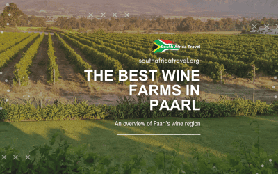 The Best Wine Farms in Paarl