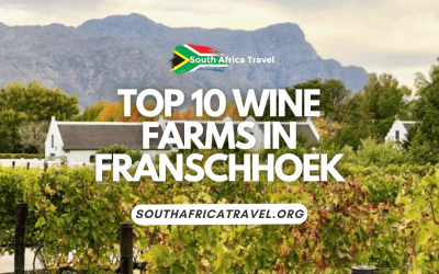 Top 10 Wine Farms in Franschhoek