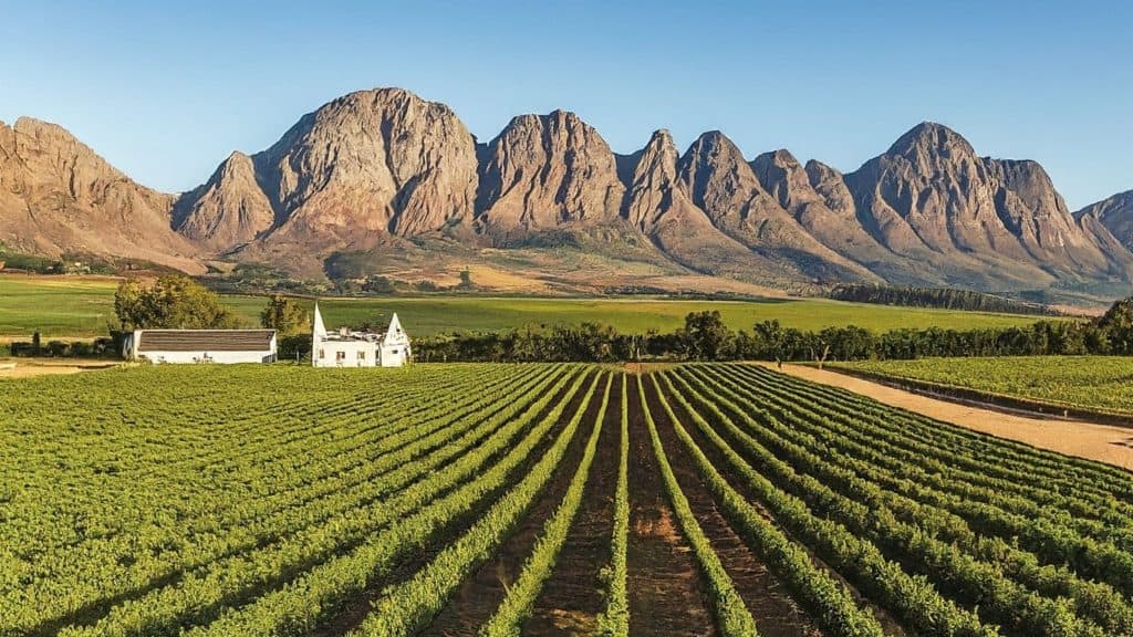 Why Tailor-made Wine Tours in Cape Town Are the Way to Go